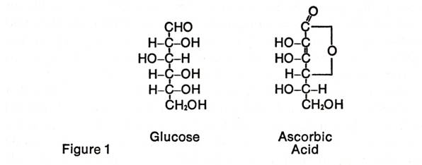 p9 fig-1.jpg