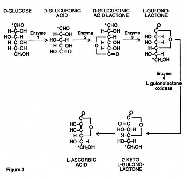 p43 fig-3.jpg