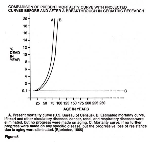 p114 fig-5.jpg